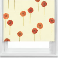 Papaver Poppy