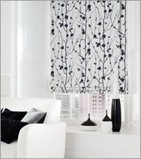 Contemporary Roller Blinds