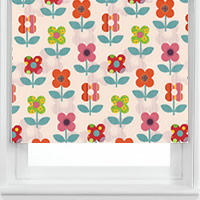 Zebedee Pink