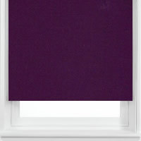 Starlight Plum