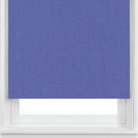 Starlight Bluebell