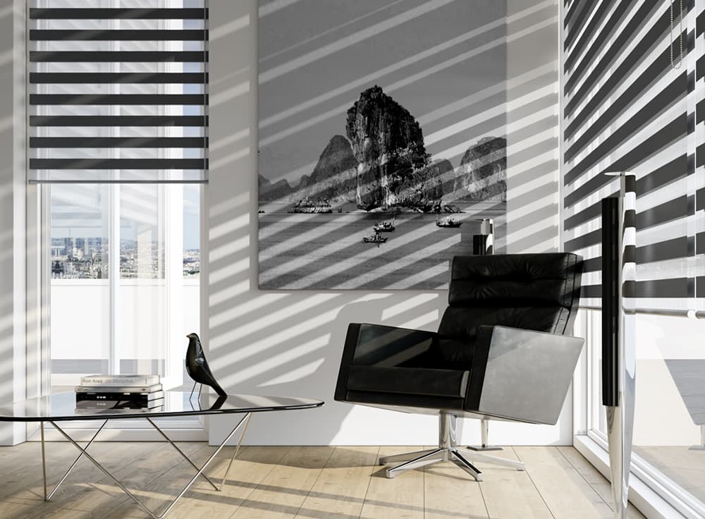 Day & Night Blinds