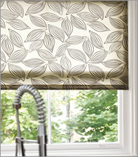 Contemporary Brown Roller Blind